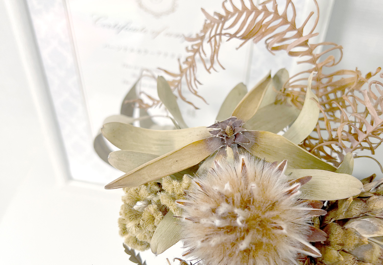 診断室に飾られて花とディプロマ